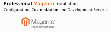 Magento store development and customization
