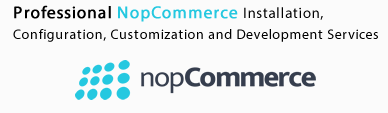Nopcommerce store development and customization