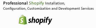 Shopify Store development and Customization
