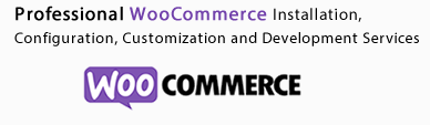 WooCommerce Store development and Customization
